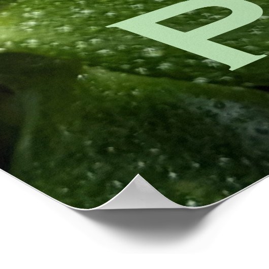 PURE JADE POSTER (Hoek)