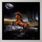 Pure Joy.... Poster (Voorkant)