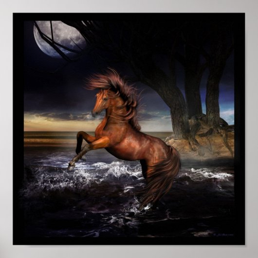 Pure Joy.... Poster (Voorkant)