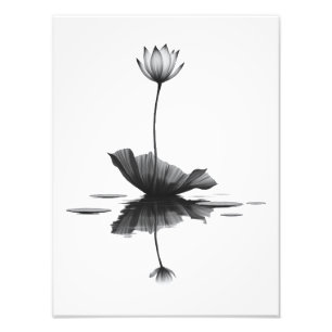 Pure Lotus Schoonheid Foto Afdruk