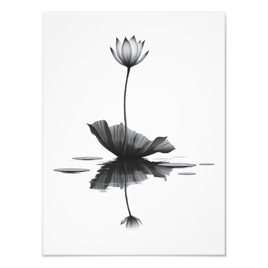 Pure Lotus Schoonheid Foto Afdruk (Voorkant)
