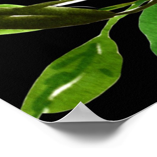 Pure Love poster (Hoek)