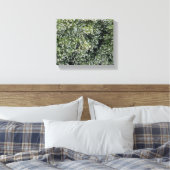 Pure Manzanita Canvas Afdruk (Insitu (Slaapkamer))