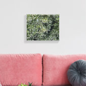 Pure Manzanita Canvas Afdruk (Insitu (Woonkamer))