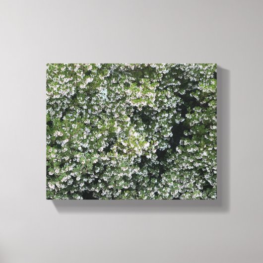 Pure Manzanita Canvas Afdruk (Voorkant)