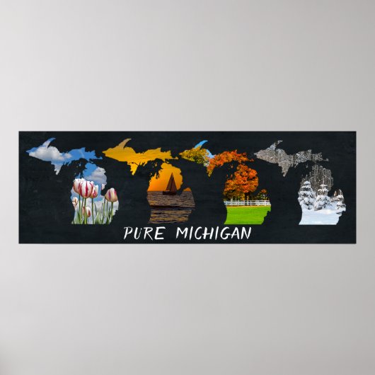 Pure Michigan Seasons Artwork Poster (Voorkant)