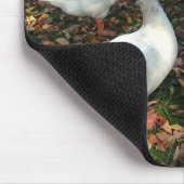 Pure Natuur Muismat (Hoek)