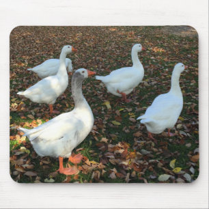 Pure Natuur Muismat