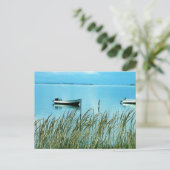 Pure Natuur op het eiland Samsø Foto Colette Briefkaart (Staand voorkant)