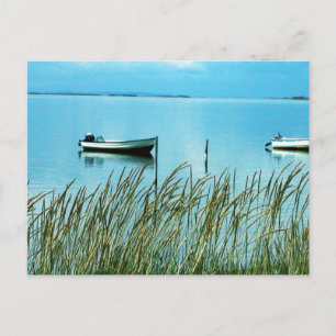 Pure Natuur op het eiland Samsø Foto Colette Briefkaart