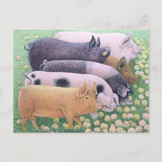 Pure Pleasure Briefkaart (Voorkant)