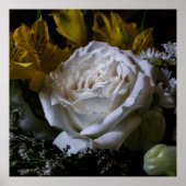 Pure Poster (Voorkant)