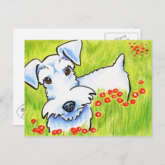 Pure Schnauzer Briefkaart (Voorkant / Achterkant)