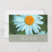 Pure white daisy flower bruiloft RSVP Kaartje (Achterkant)