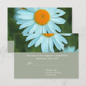 Pure white daisy flower bruiloft RSVP Kaartje (Voorkant / Achterkant)