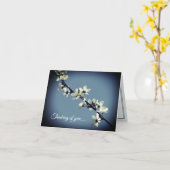 Pure White Plum Blossom in lente Kaart (Gele Bloem)