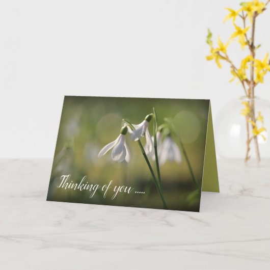 Pure White Snowdrops in Spring Kaart (Gele Bloem)