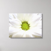 Pure witte melkbloem. Floral foto's voor thuis Canvas Afdruk (Voorkant)