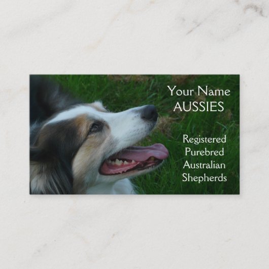 Purebred Black Tricolor Aussie Visitekaartje (Voorkant)
