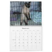Purebred Cat Breed Rescue Agenda Kalender (Mar 2027)