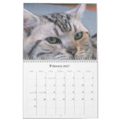 Purebred Cat Breed Rescue Agenda Kalender (Feb 2027)