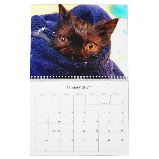 Purebred Cat Breed Rescue Agenda Kalender (Jan 2027)