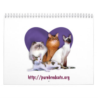 Purebred Cat Breed Rescue Agenda Kalender