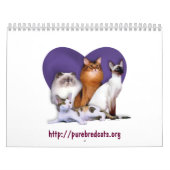 Purebred Cat Breed Rescue Agenda Kalender (Hoes)