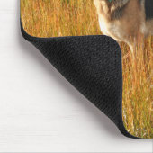 Purebred German Shepherd Mousepad Muismat (Hoek)
