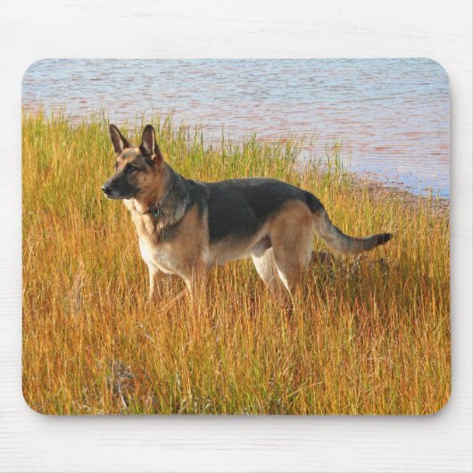 Purebred German Shepherd Mousepad Muismat (Voorkant)