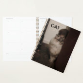 Purebred Ragdoll kat tegen een stoel. Planner (Display)