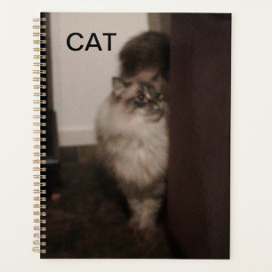 Purebred Ragdoll kat tegen een stoel. Planner