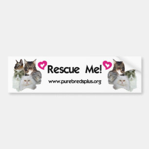 Purebreds Plus Rescue Me Bumpersticker