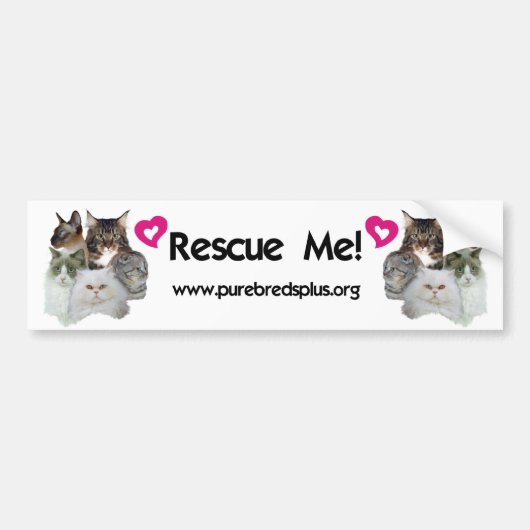 Purebreds Plus Rescue Me Bumpersticker (Voorkant)