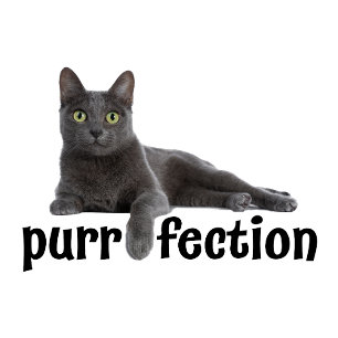 Purefection Cat Chilling Out T-shirt