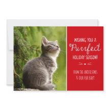 Purfect Cat Theme Vakantie Fotokaart