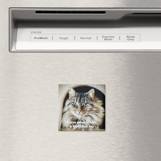 Purfect Day Magnet (Insitu (Vaatwasser))