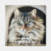 Purfect Day Magnet (Voorkant)