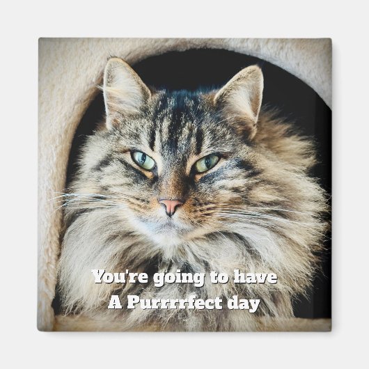 Purfect Day Magnet (Voorkant)
