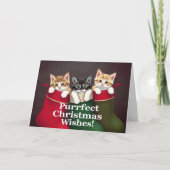 Purfect Kerstwensen Katten Kaart (Voorkant)