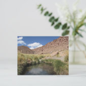 Puritama Hot Springs, Atacama woestijn, Chili Briefkaart (Staand voorkant)