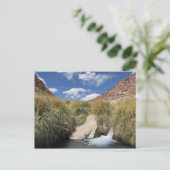 Puritama Hot Springs, Atacama woestijn, Chili Briefkaart (Staand voorkant)