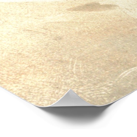 Puritan Maid 1897 Poster (Hoek)