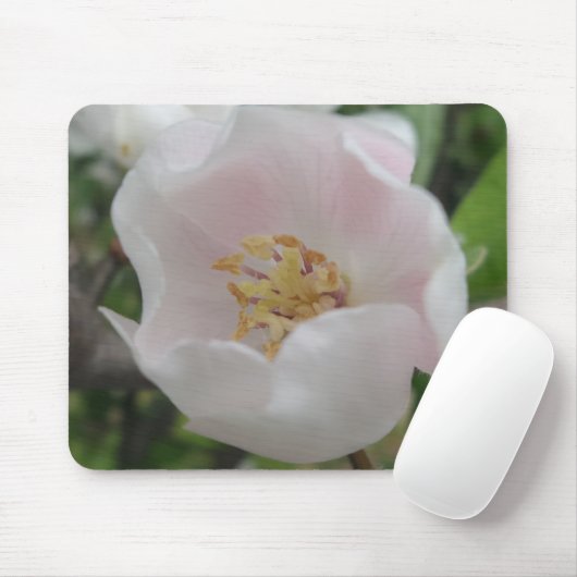 Purity Mousepad Muismat (Met muis)