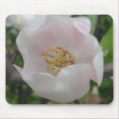 Purity Mousepad Muismat (Voorkant)