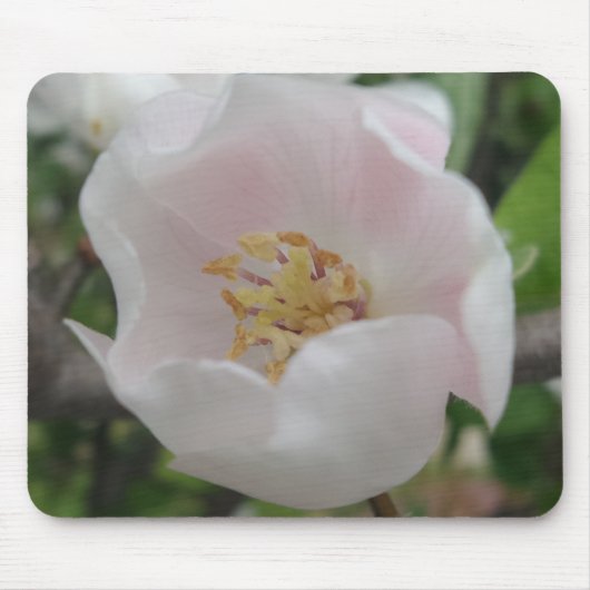 Purity Mousepad Muismat (Voorkant)