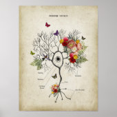 Purkinje Cell Neuron Anatomie met Bloemen Poster (Voorkant)