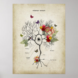 Purkinje Cell Neuron Anatomie met Bloemen Poster