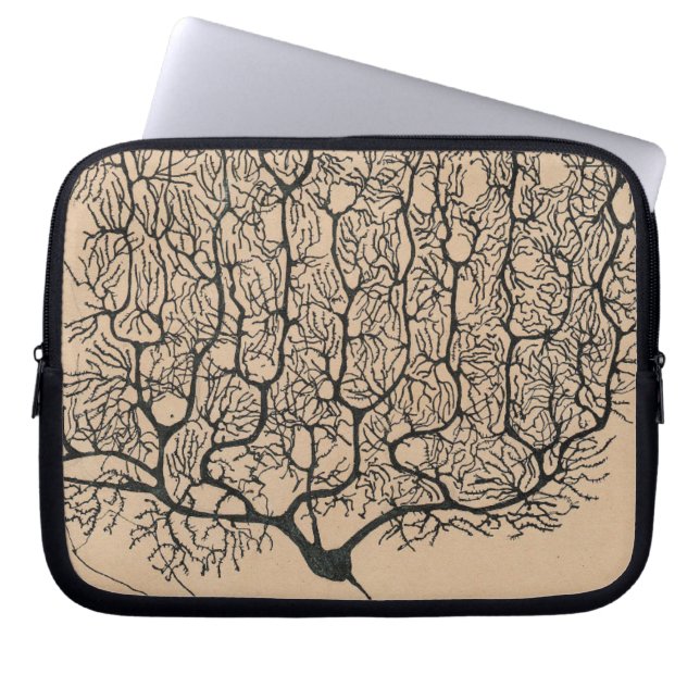  Purkinje Neuron Anatomisch Tekendokter Laptop Sleeve (Voorkant)