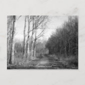 Purmerend Nederlands Briefkaart (Voorkant)